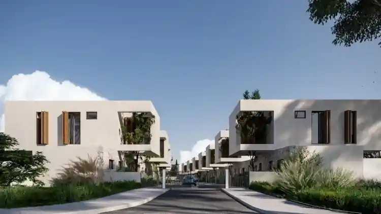 Project Image 11