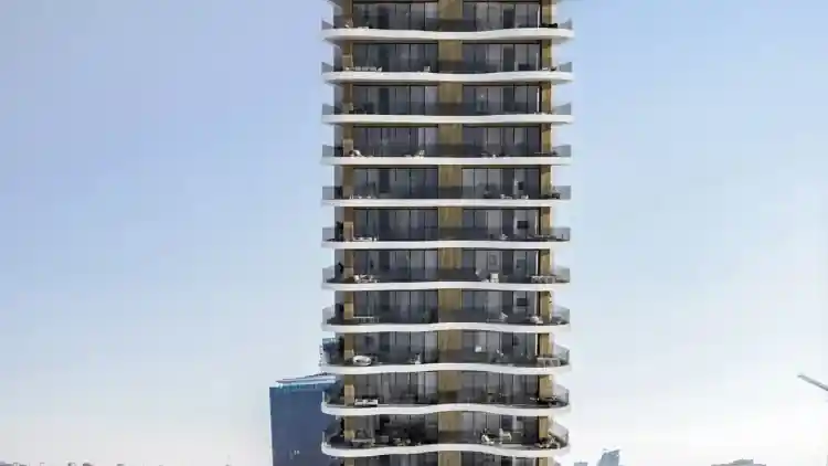 Project Image 1