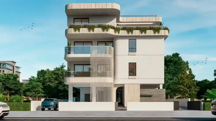 Project Image 7