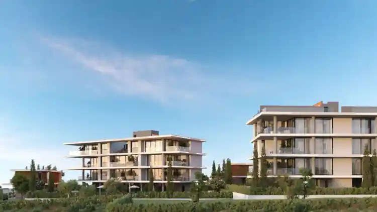 Project Image 1