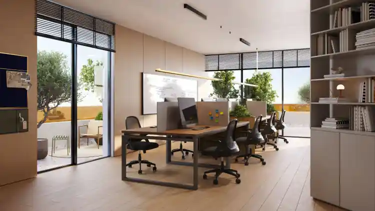 Project Image 15