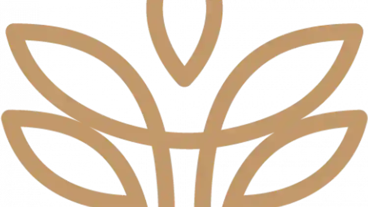 Project Image 4