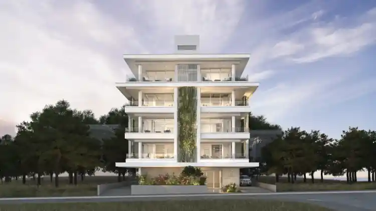 Project Image 1