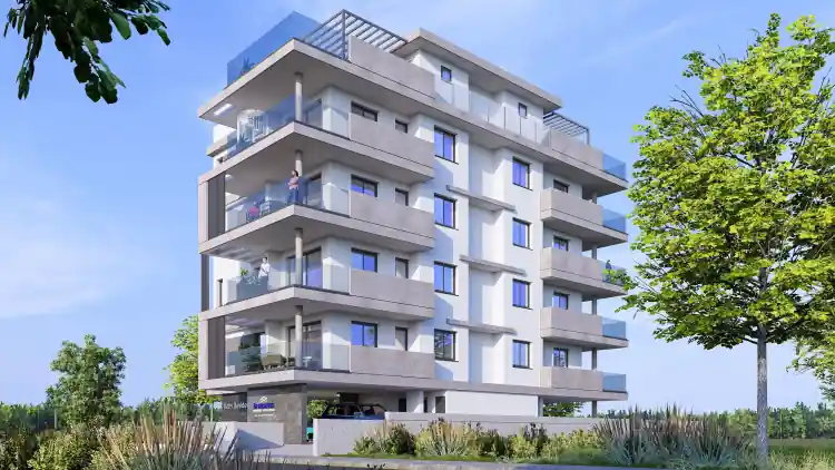 Project Image 6