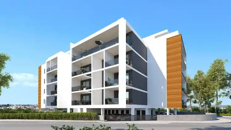 Project Image 6