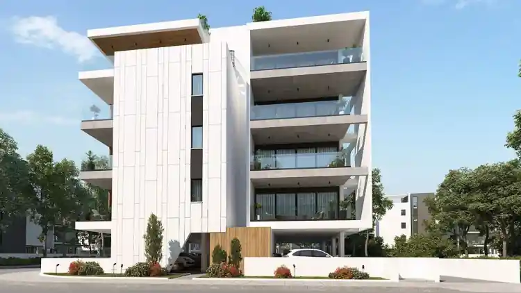 Project Image 1