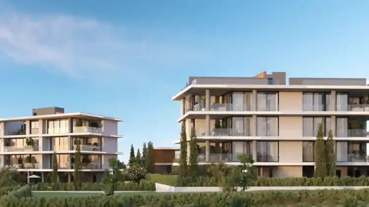 Project Image 5