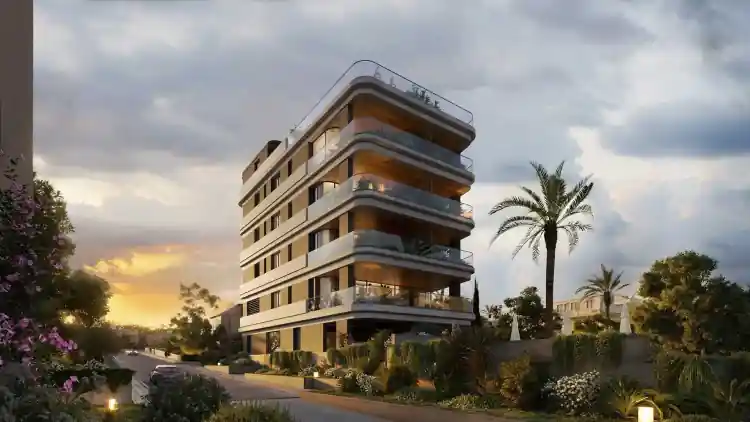 Project Image 1