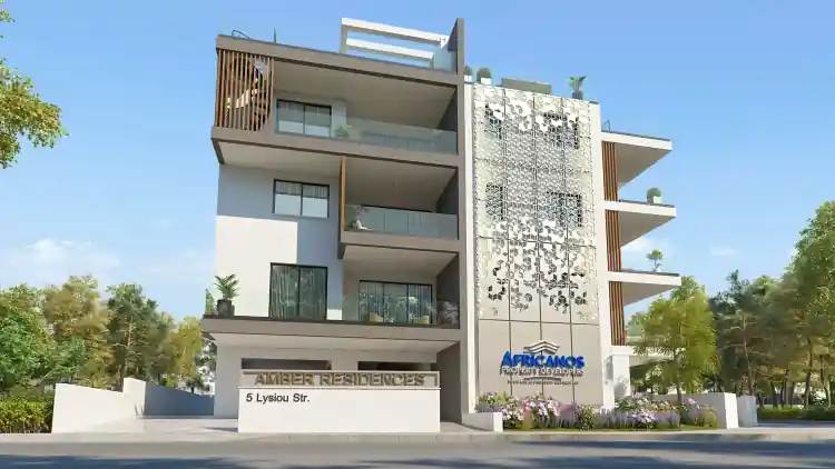 Project Image 2