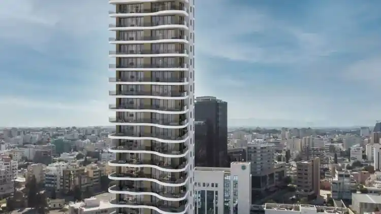 Project Image 6