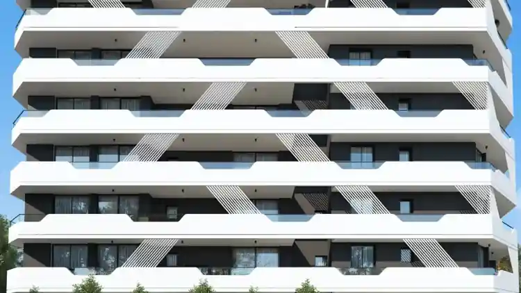 Project Image 1