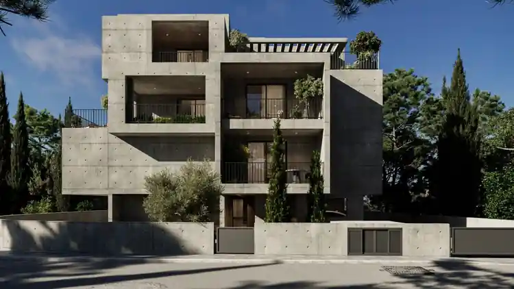 Project Image 4