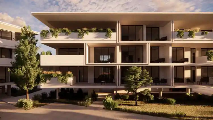 Project Image 5