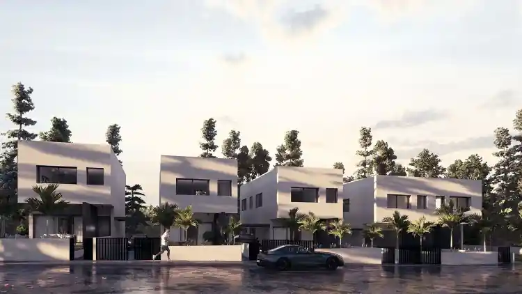 Project Image 3