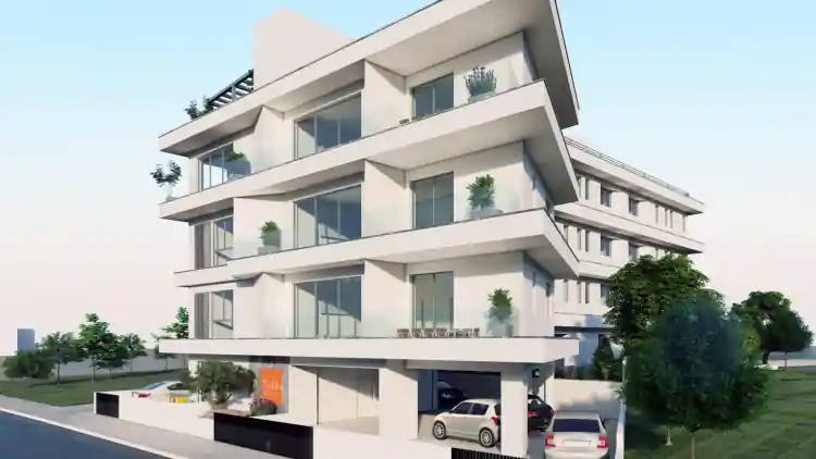 Project Image 6
