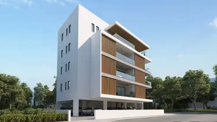 Project Image 4
