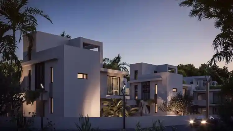 Project Image 11