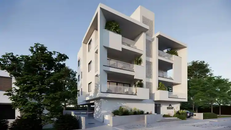 Project Image 1