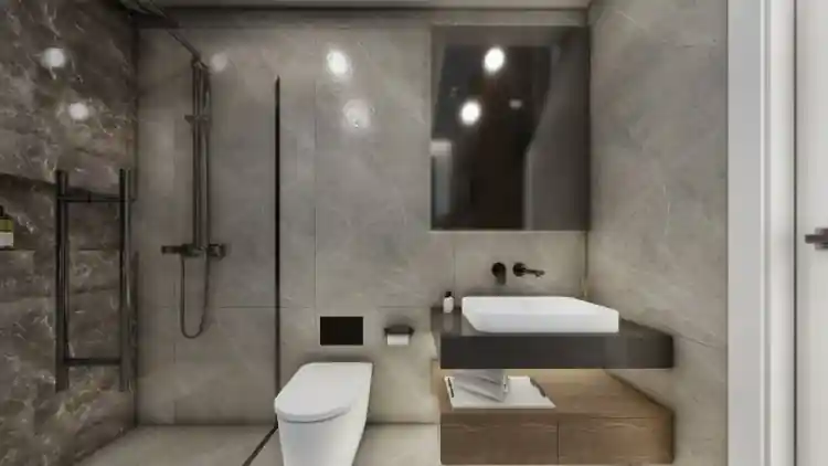 Project Image 12