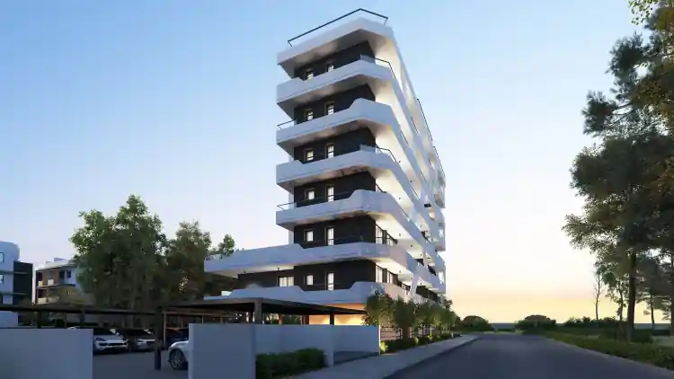 Project Image 4