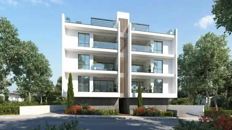 Project Image 1