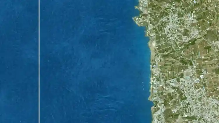 Project Image 14