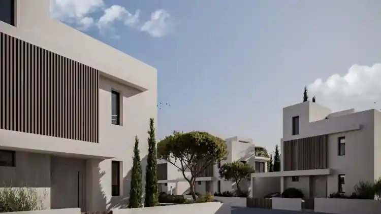 Project Image 9