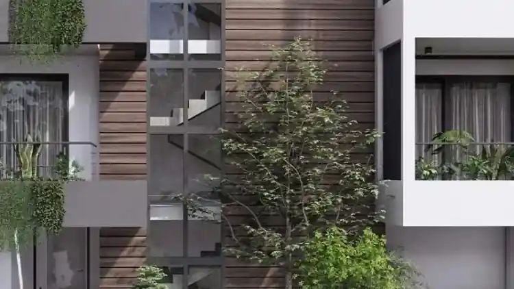 Project Image 6