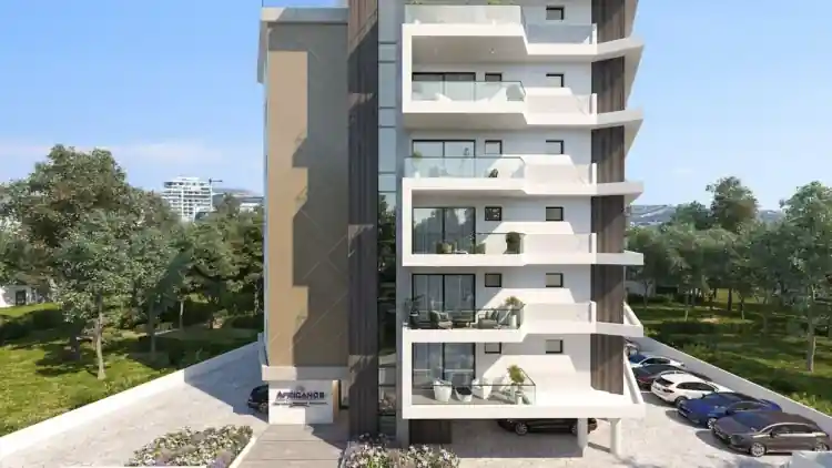 Project Image 1