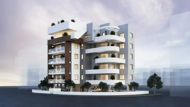 Project Image 1