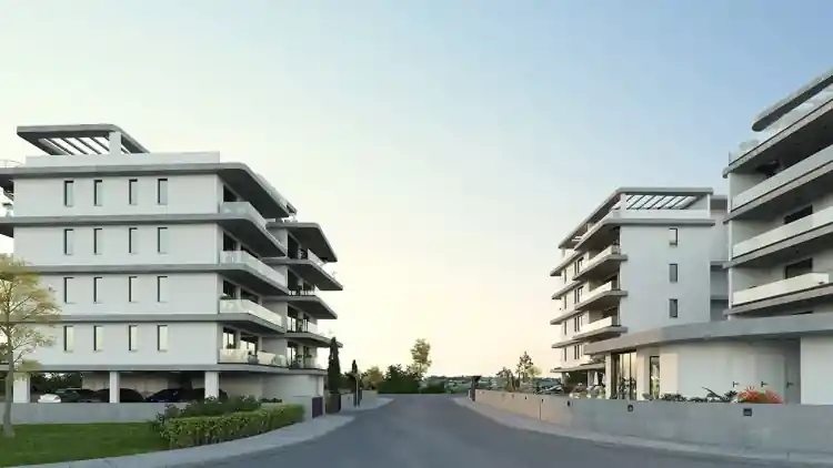 Project Image 15