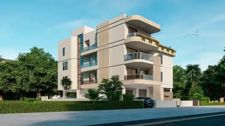 Project Image 6