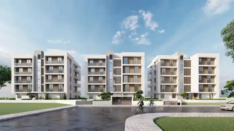 Project Image 5