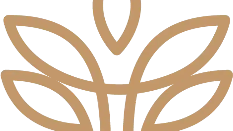 Project Image 1