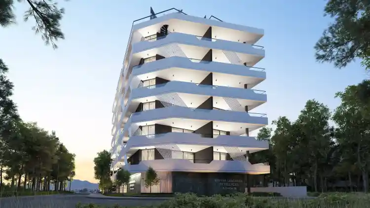 Project Image 5