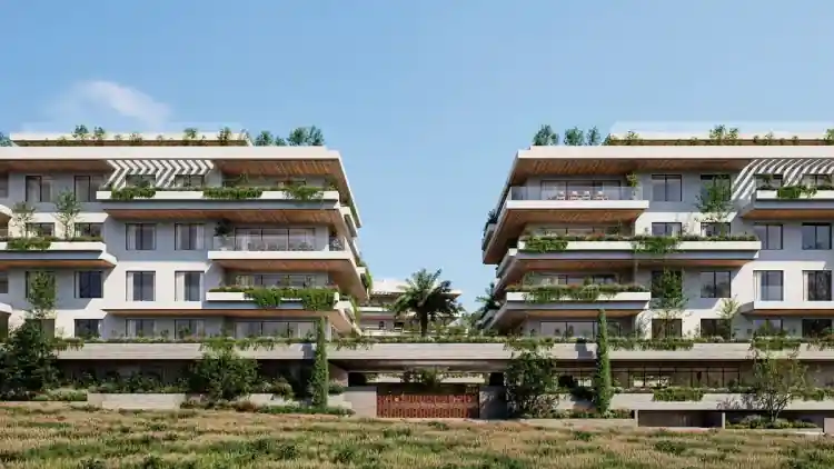 Project Image 5