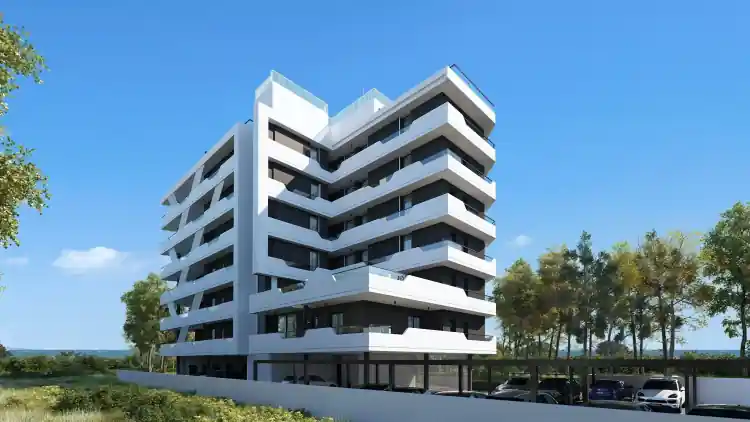 Project Image 9