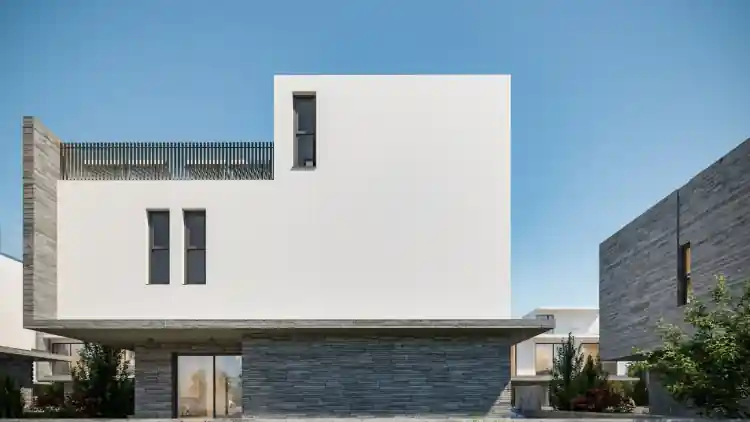 Project Image 1
