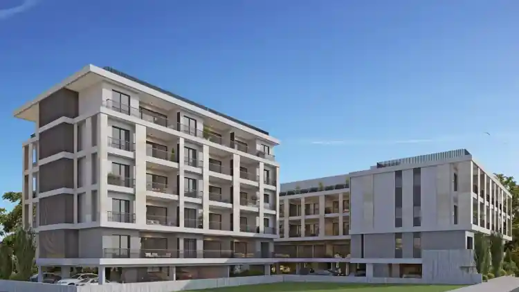 Project Image 5