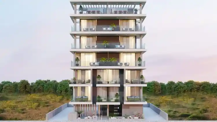 Project Image 1