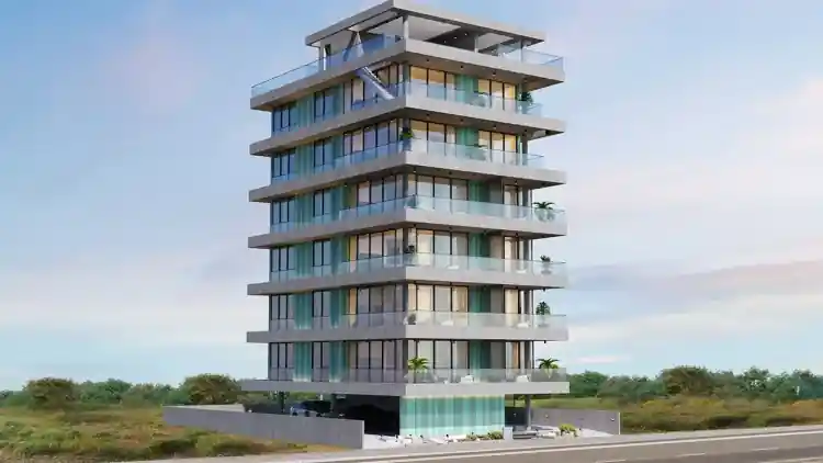 Project Image 2