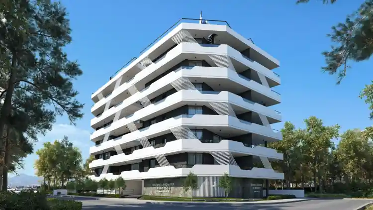 Project Image 7