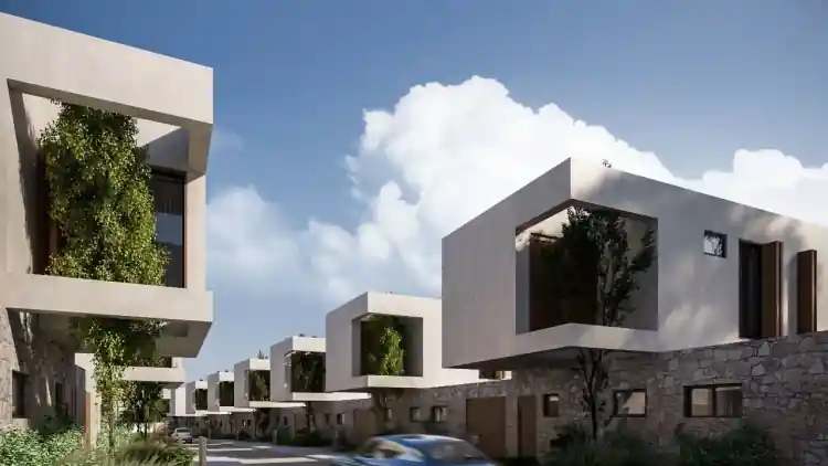 Project Image 13