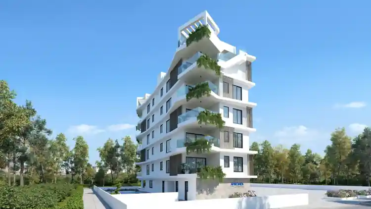 Project Image 4