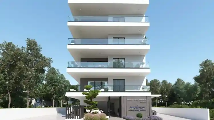 Project Image 1