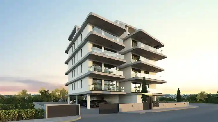 Project Image 12
