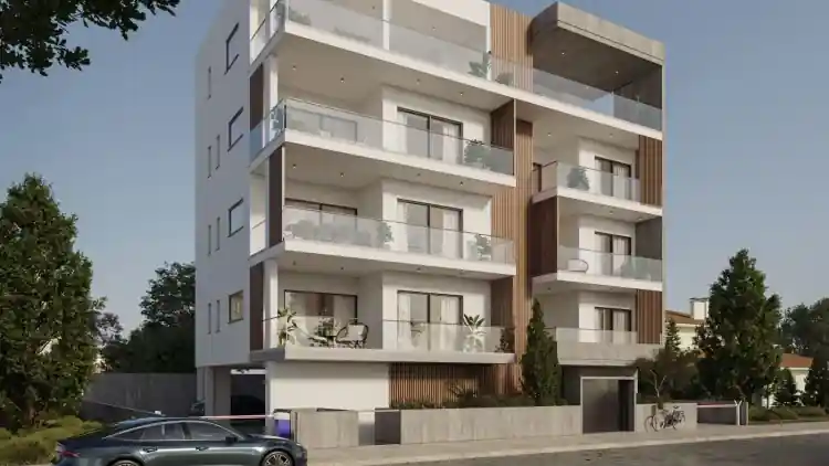 Project Image 5