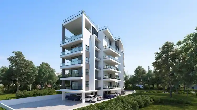 Project Image 4