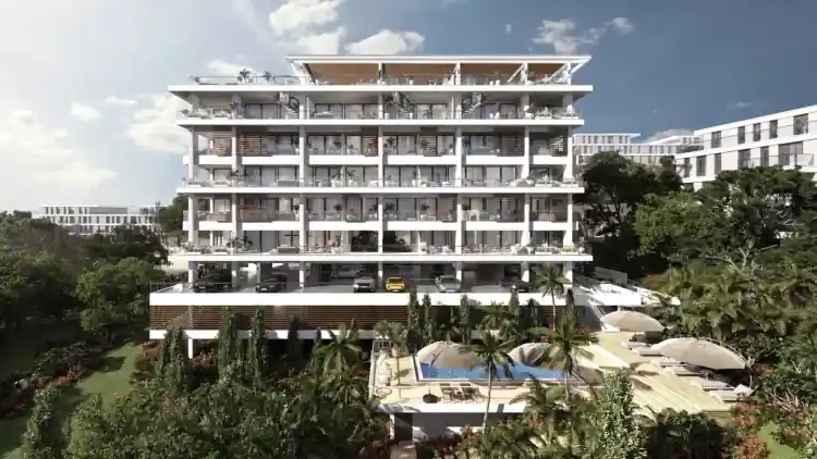 Project Image 1