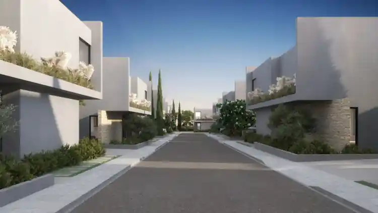 Project Image 1